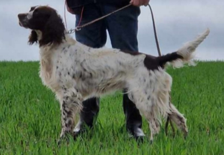 CH. SEVEN De la Vallée du Mousse